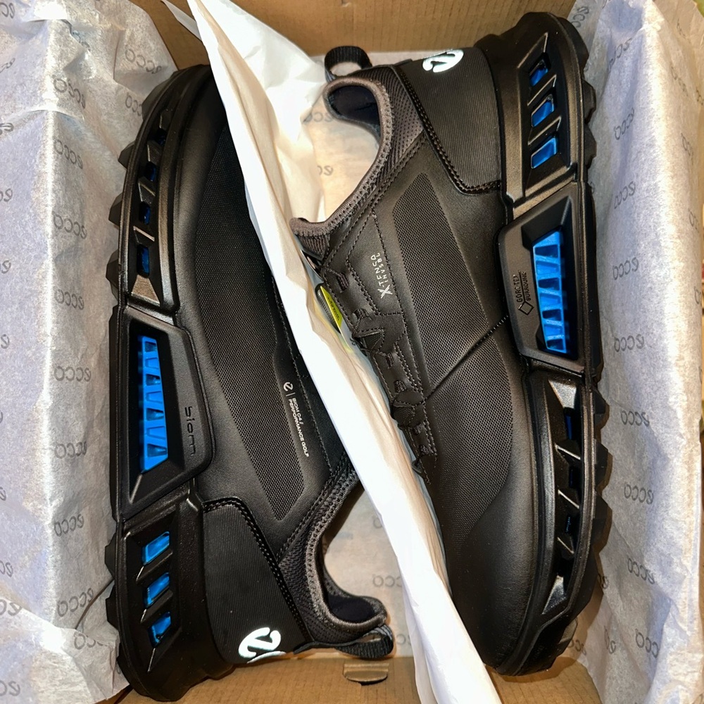 Men’s Ecco Golf Biom C4 shoes